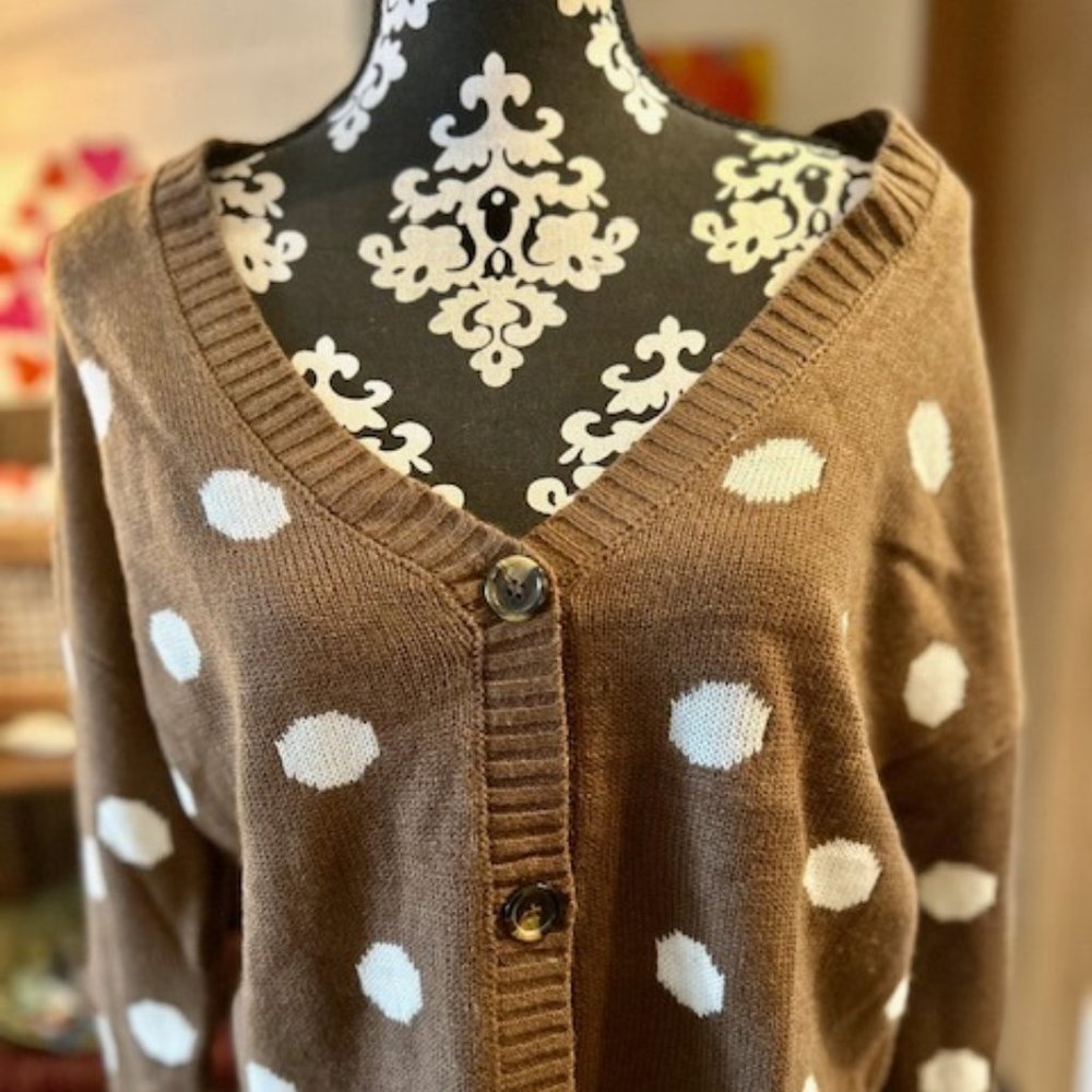 NWT Polka Dot Crop Sweater